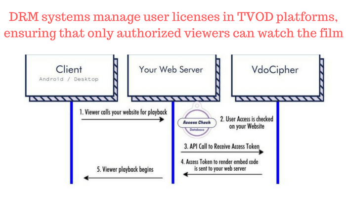 DRM systems manage user licenses in TVOD platforms, ensuring only authorized viewers watch the video